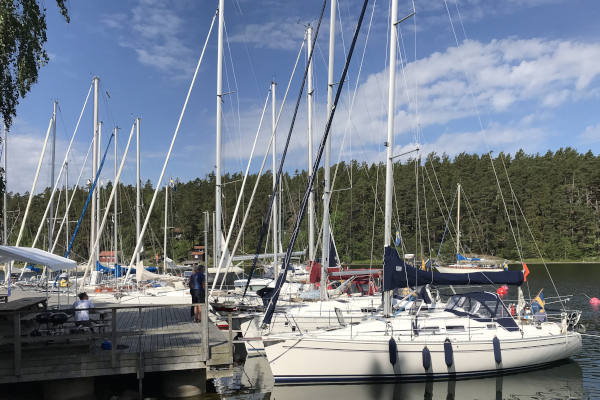 En rad segelbåtar ligger förtöjda vid en brygga. Det är soligt med blå himmel. Några av båtarna har en orange vimpel.